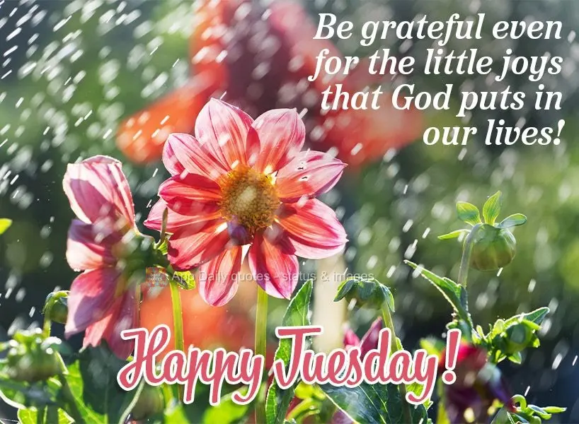 Be grateful even for the little joys that God puts in our lives! Happy Tuesday!