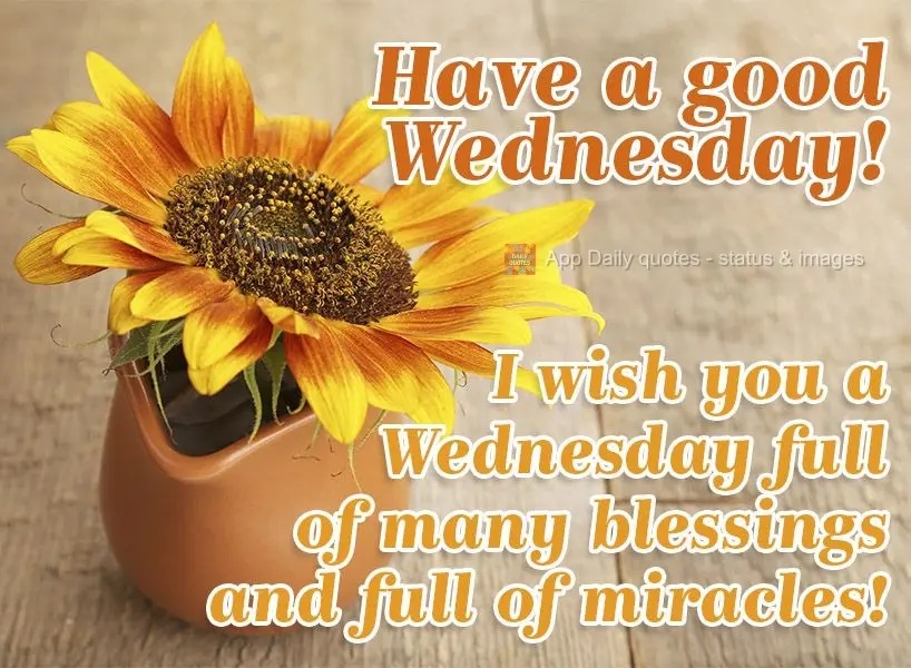 I wish you a Wednesday full of many blessings and miracles! Have a good Wednesday!