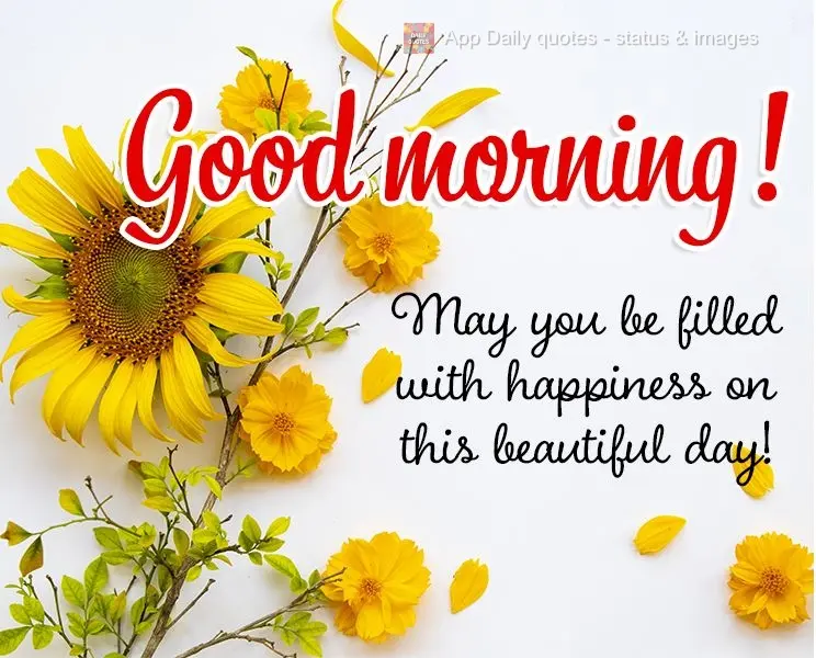 Que você se encha de felicidade neste lindo dia!  Bom dia!