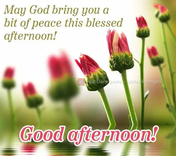 May God bring you a bit of peace this blessed afternoon! Good afternoon!