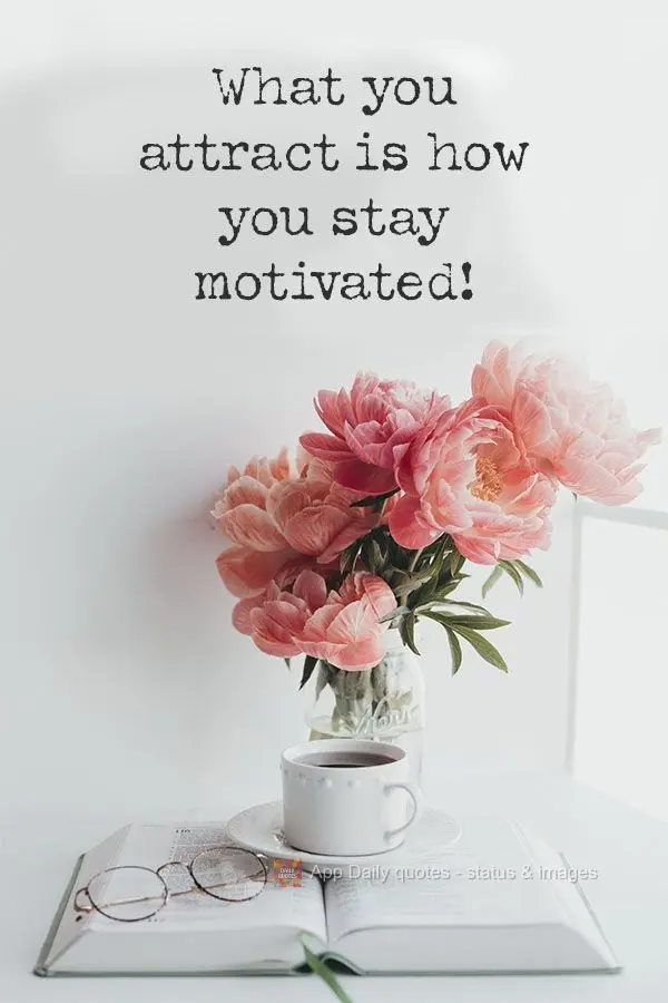What you attract is how you stay motivated!