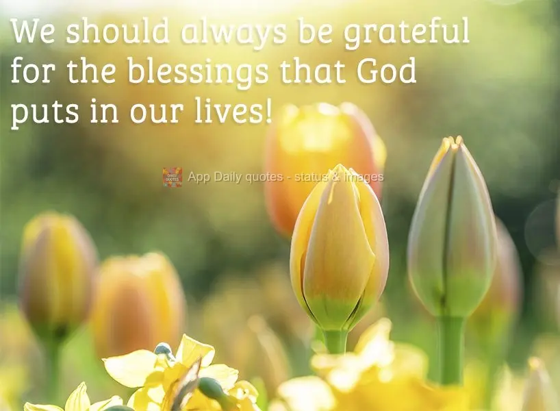 We should always be grateful for the blessings that God puts in our lives!