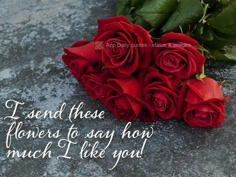 I send these flowers to say how much I like you!