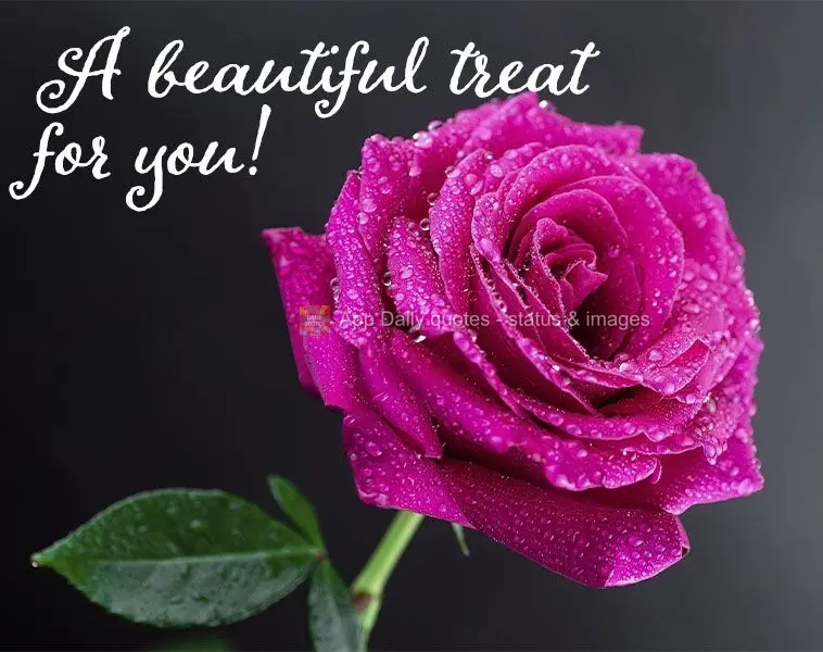 A beautiful treat for you!