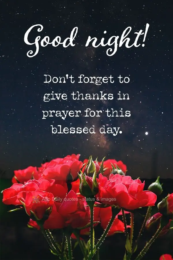 Não esqueça de agradecer em oração pelo dia abençoado. Boa noite! 
