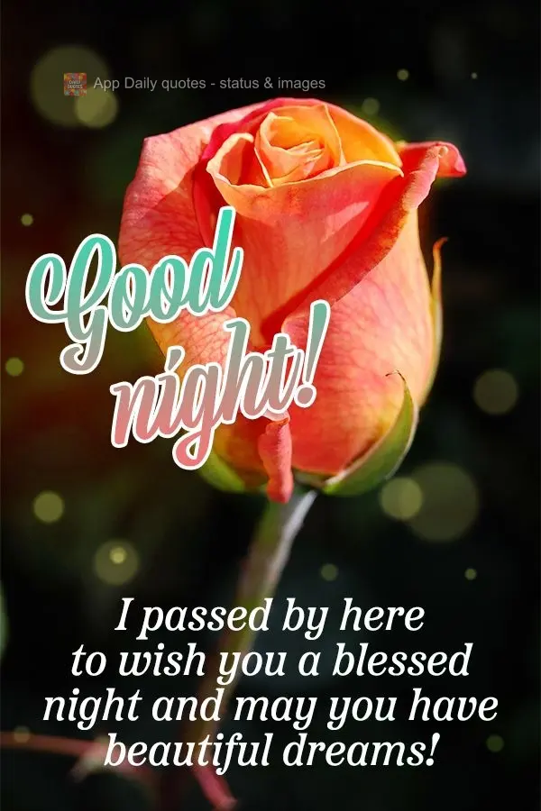 I stopped by to wish you a blessed night, and many sweet dreams! Good night!