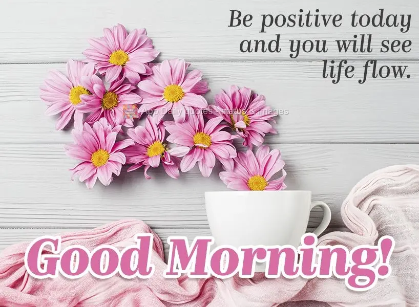 Seja positivo no dia de hoje e verás a vida fluir. Bom dia!