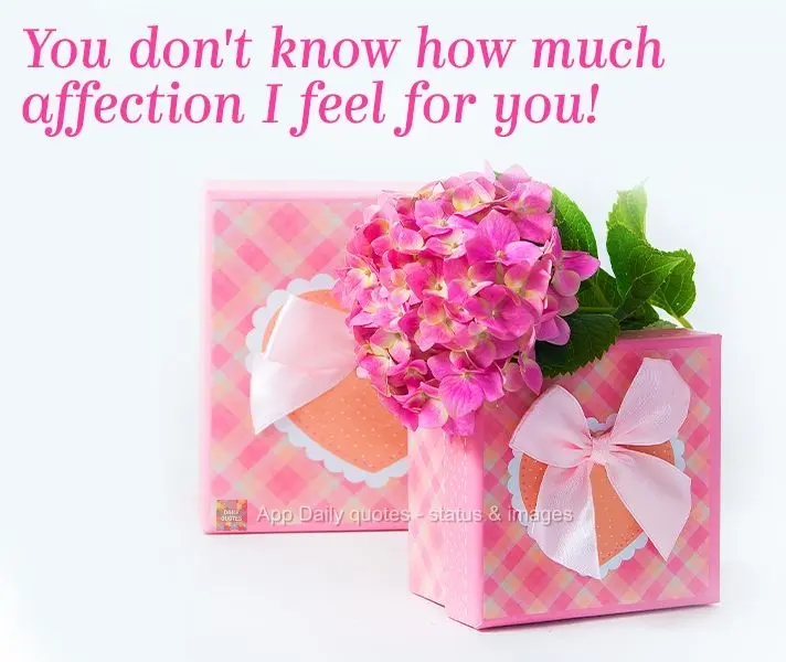 Você não sabe o tamanho do carinho que eu sinto por ti!