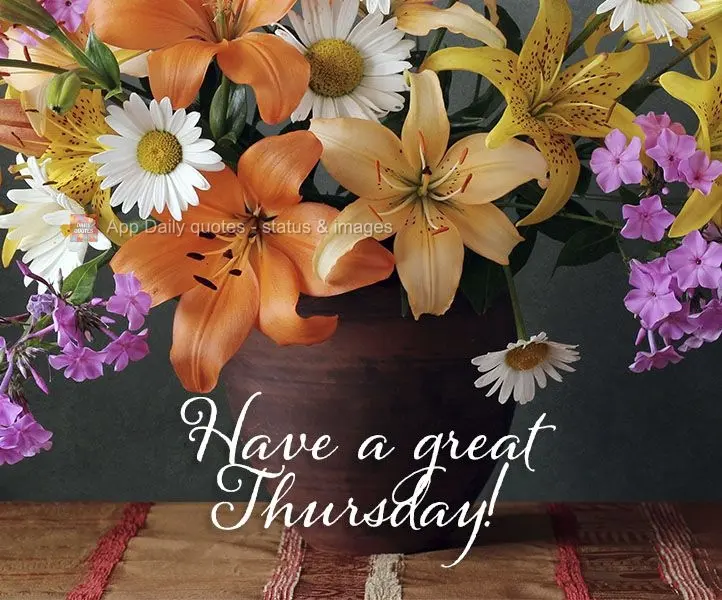 Ótima Quinta-feira para você!