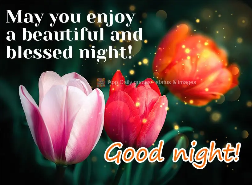Que você possa desfrutar de uma noite linda e abençoada! Boa noite!