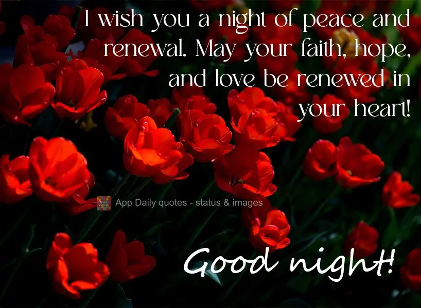 Desejo uma noite de paz e renovação. Que renove a sua fé, a esperança e o amor em seu coração! Boa noite!