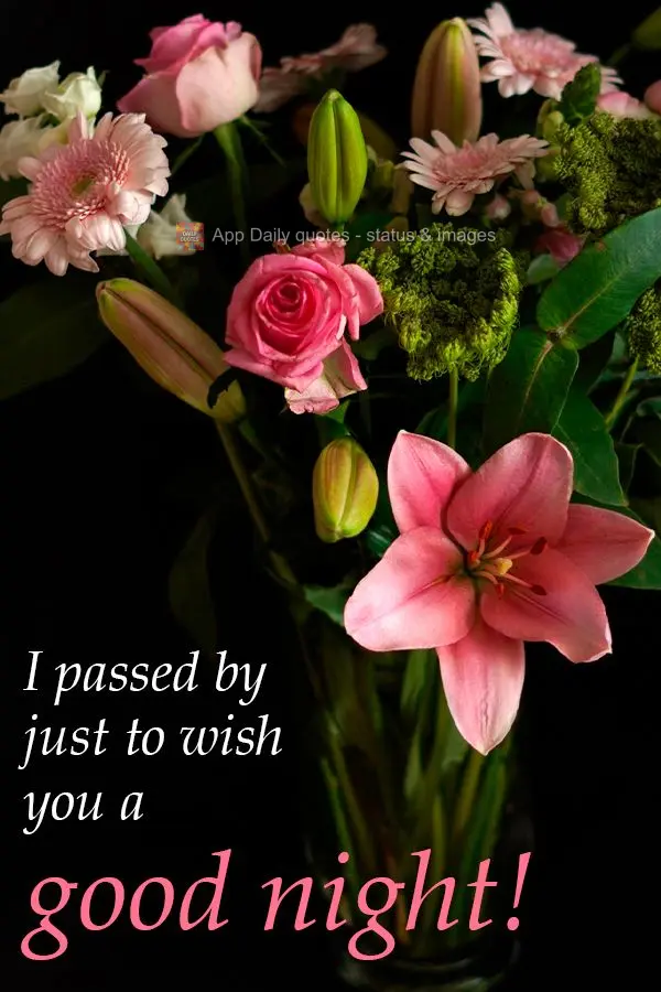 I passed by just to wish you a good night!