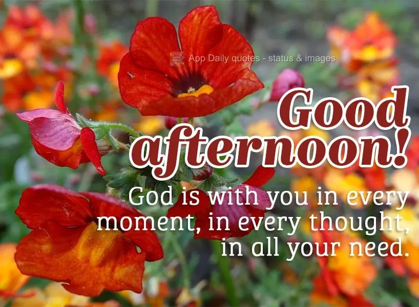 God is with you in every moment, in every thought, in all your needs. Good afternoon!