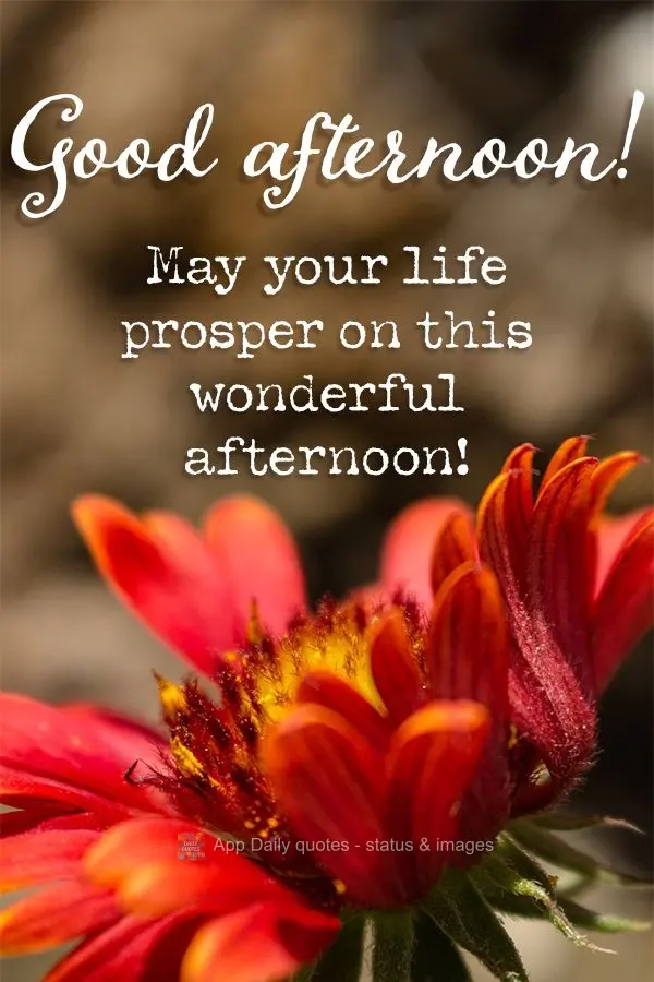 May your life flourish on this wonderful afternoon! Good afternoon!