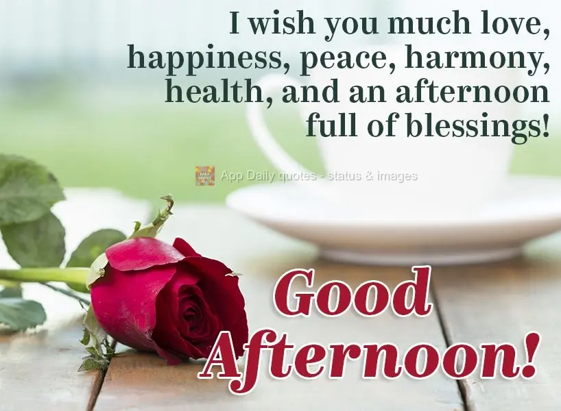 Eu desejo muito amor, felicidades, paz, harmonia, saúde e uma tarde recheada de bênçãos! Feliz tarde!