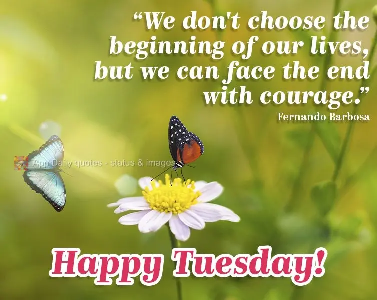 “Nós não escolhemos o começo de nossas vidas, mas podemos enfrentar o nosso fim com coragem.” Feliz terça-feira! Fernando Barbosa