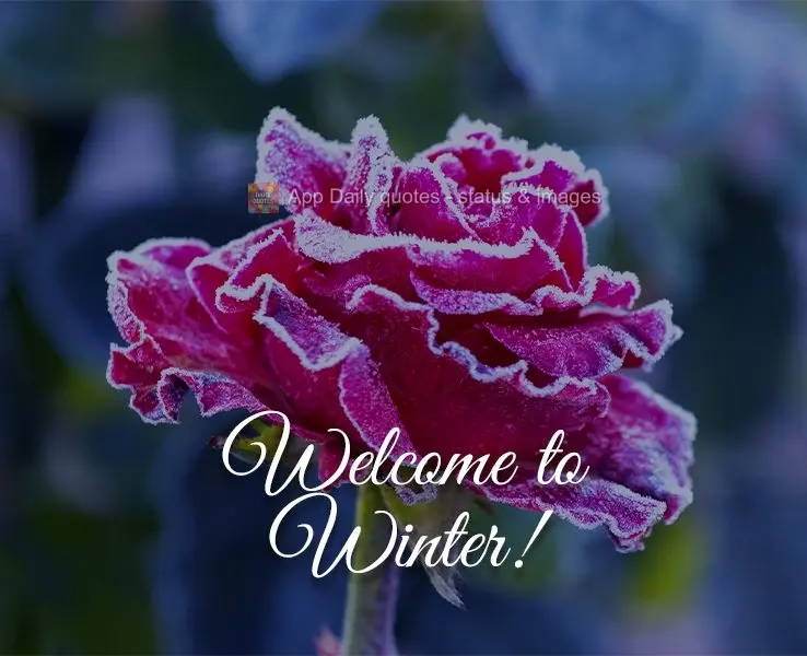 Seja Bem-vindo ao Inverno!