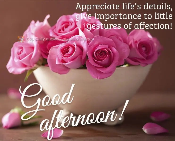 Aprecie os detalhes da vida, dê importância aos pequenos gestos de carinho! Boa tarde!