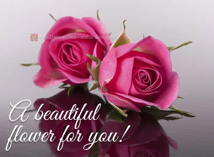 A beautiful flower for you!