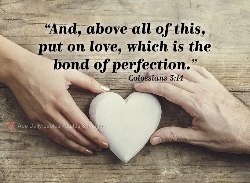 "And, above all of this, radiate love, which is the link to perfection." Colossians 3:14