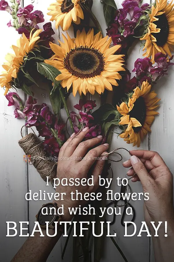 Passei aqui para entregar essas flores e lhe desejar um lindo dia!