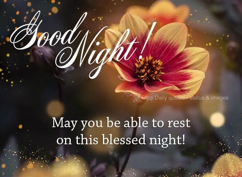 Que você possa descansar nesta noite abençoada! Boa noite!