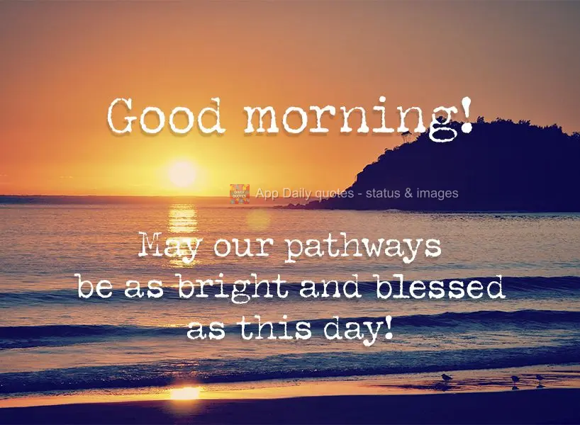 Que nossos caminhos estejam tão iluminados e abençoados quanto este dia! Bom dia!