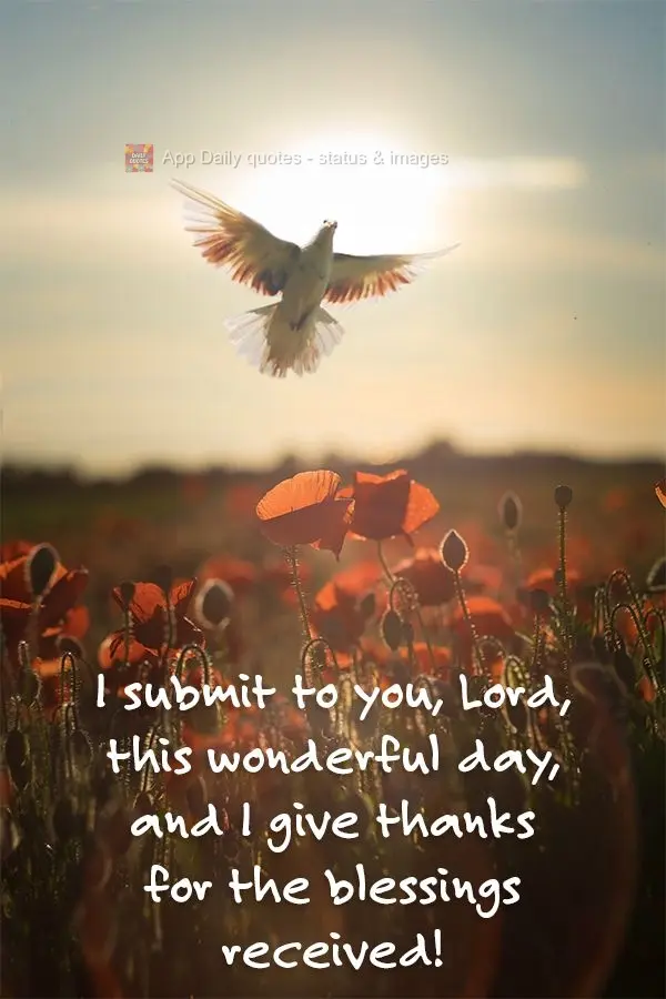 I submit to you, Lord, this wonderful day, and I give thanks for the blessings received!