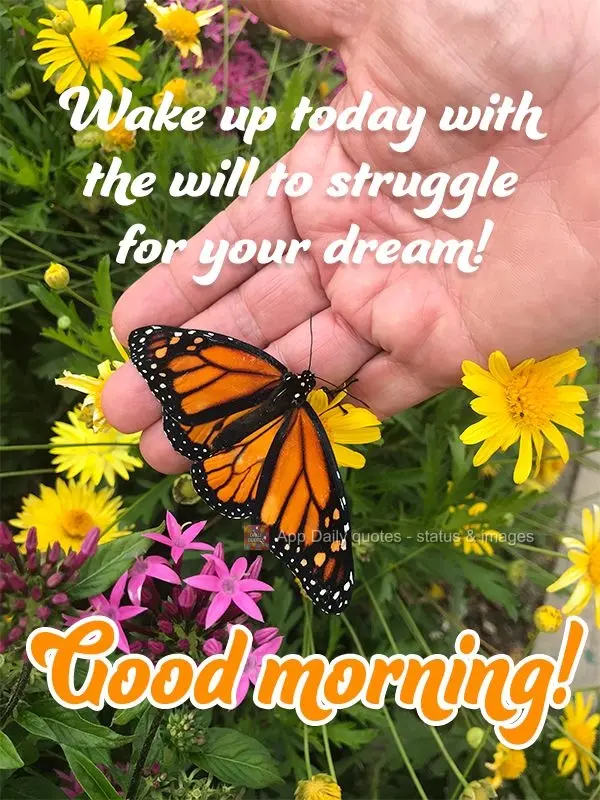 Wake up today with the will to fight for your dreams! Good morning!
