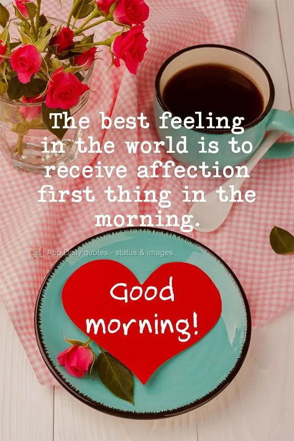 The best feeling in the world is to receive affection first thing in the morning. Good morning!