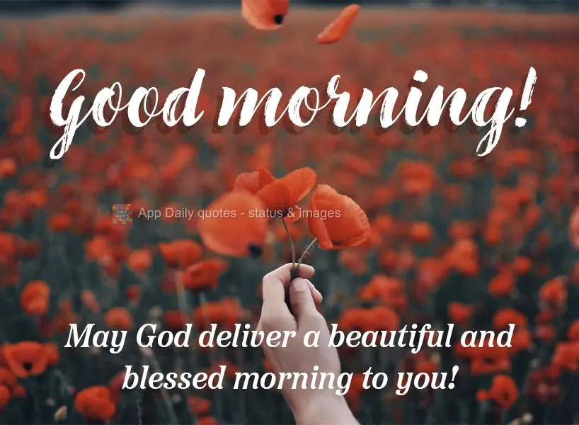 May God gift you with a beautiful and blessed morning! Good morning!