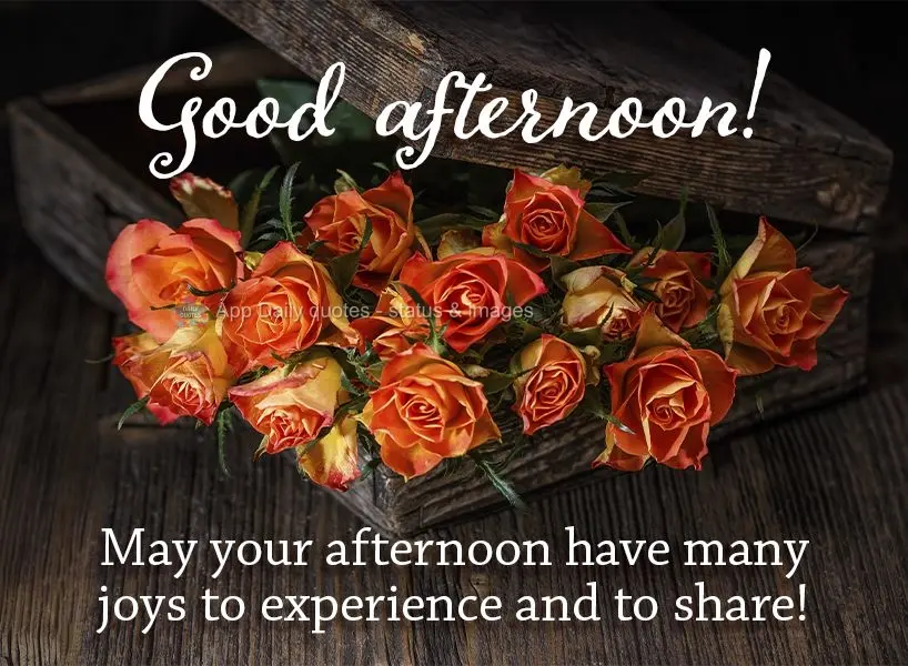 May your afternoon contain much joy to experience and share! Good afternoon!