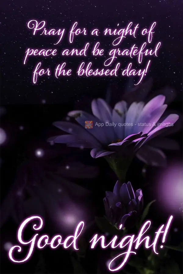 Pray for a night of peace and be grateful for the blessed day! Good night!