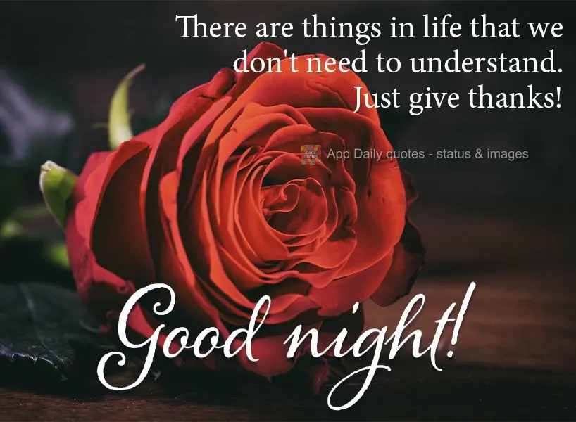 Há coisas na vida que a gente não precisa entender, apenas agradecer! Boa noite!