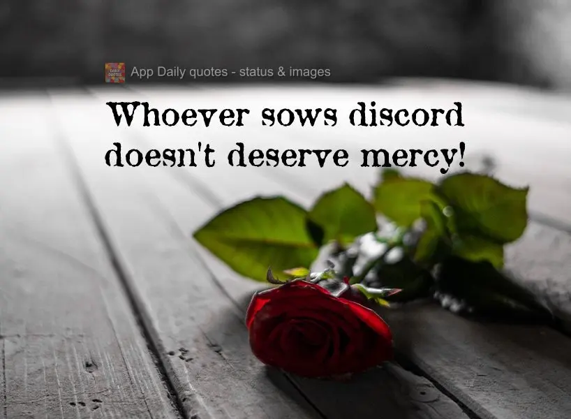 Quem planta discórdia não merece misericórdia!