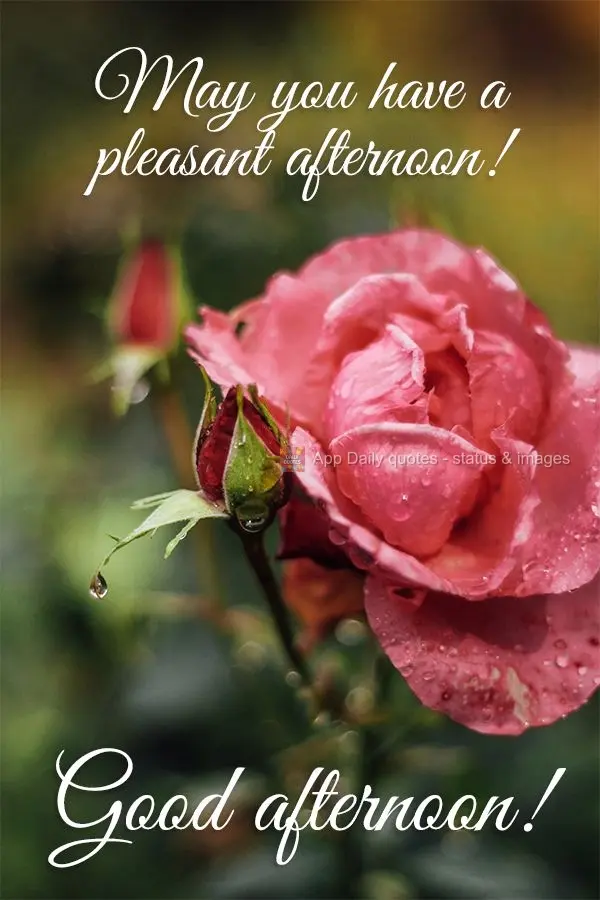 Que você tenha uma tarde agradável! Boa tarde!