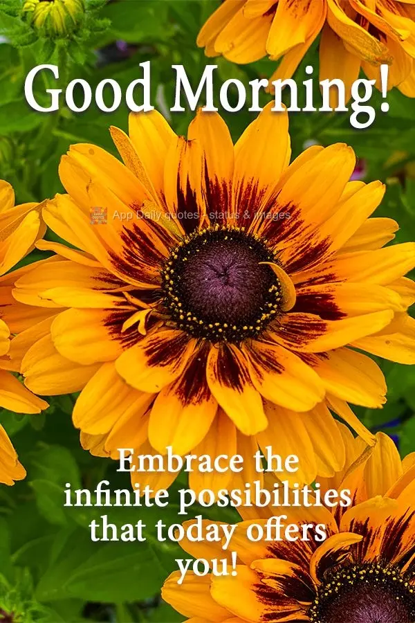 Abrace as infinitas possibilidades que o dia de hoje venha a te oferecer!  Bom dia!