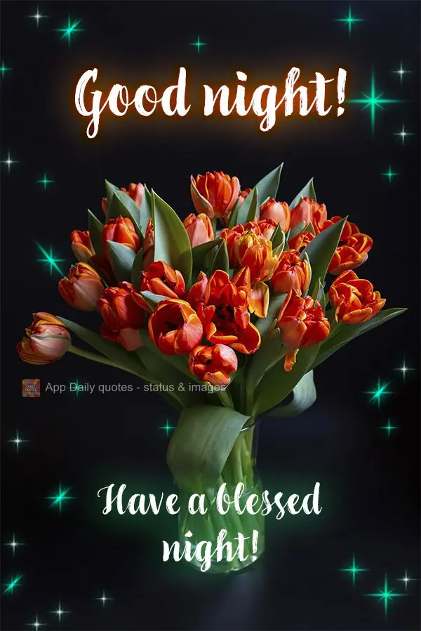 Tenha uma noite abençoada! Boa noite!