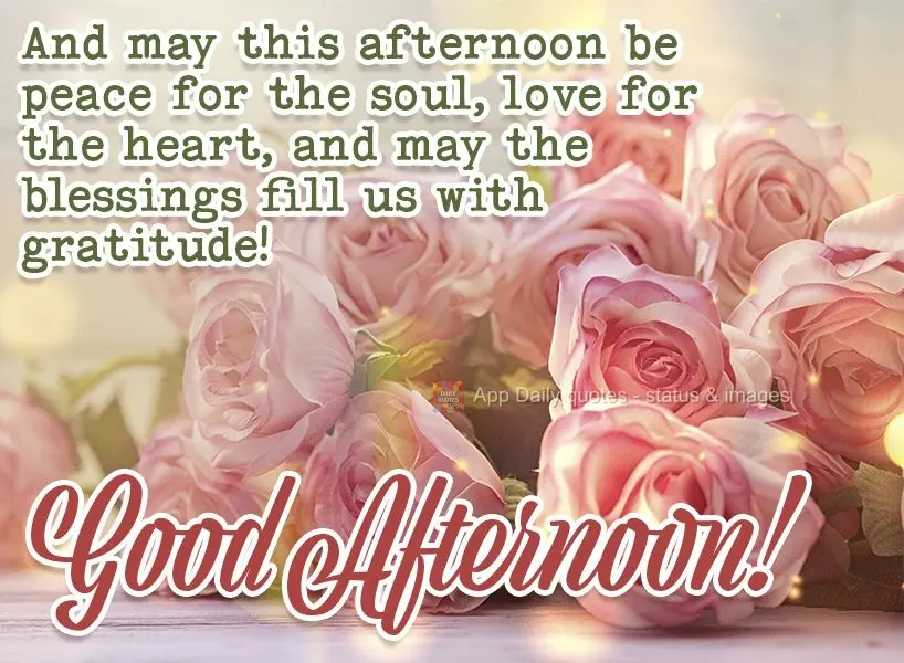 E que nesta tarde haja paz para alma, amor para o coração e que as bênçãos nos encham de gratidão! Boa tarde!