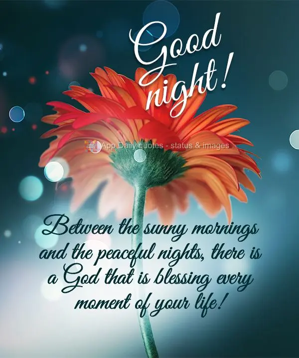 Between the sunny mornings and the peaceful nights, there is a God that is blessing every moment of your life! Good night!