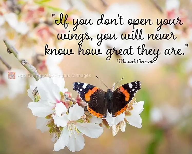 "If you don't open your wings, you will never know how great they are." Manuel Clemente