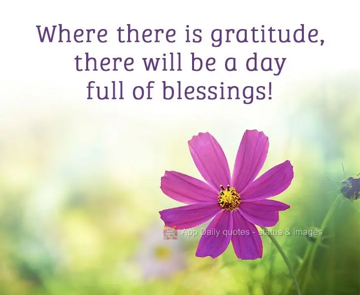 Where there is gratitude, there will be a day full of blessings!