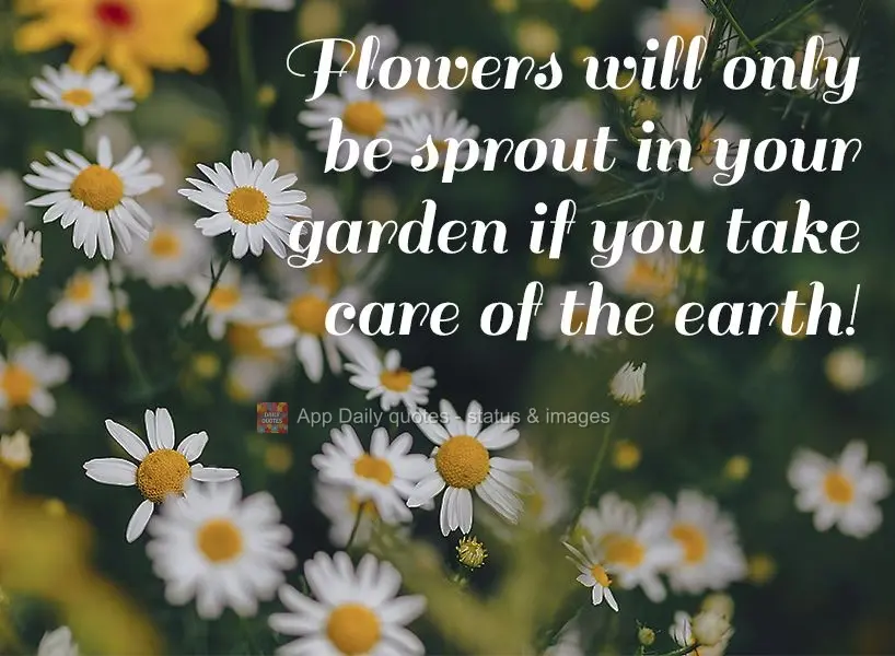 Flowers will only sprout in your garden if you take care of the earth!