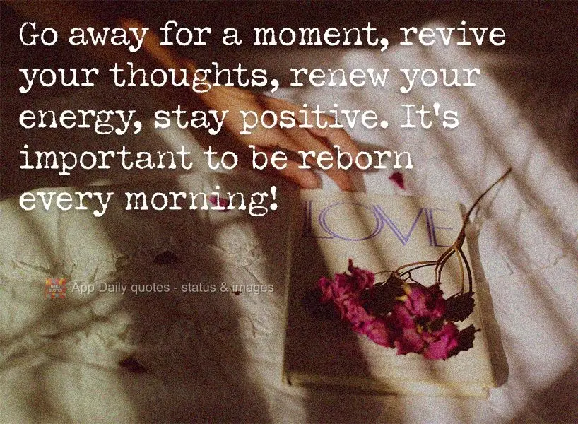 Be absent for a moment, revive your thoughts, renew your energy, stay positive. It's important to be reborn every morning!