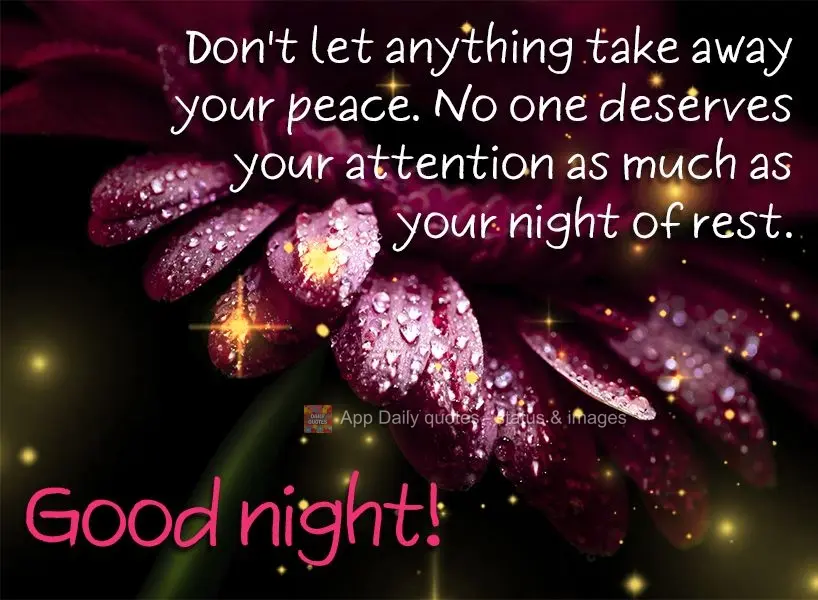 Não deixe que nada tire sua paz. Ninguém merece tanto sua atenção como sua noite de descanso. Boa noite!