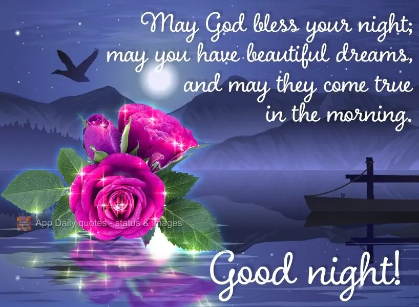 May God bless your night, may you have beautiful dreams, and may they come true in the morning. Good night!