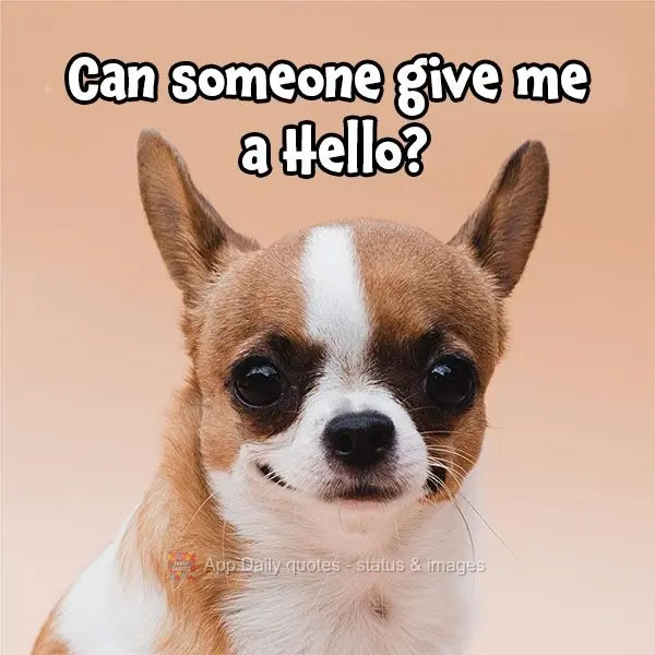 Can someone give me a Hello?