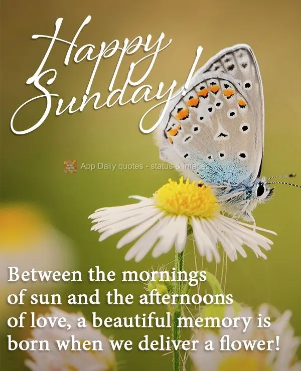 Between the mornings of sun and the afternoons of love, a beautiful memory is born when we deliver a flower! Happy Sunday!