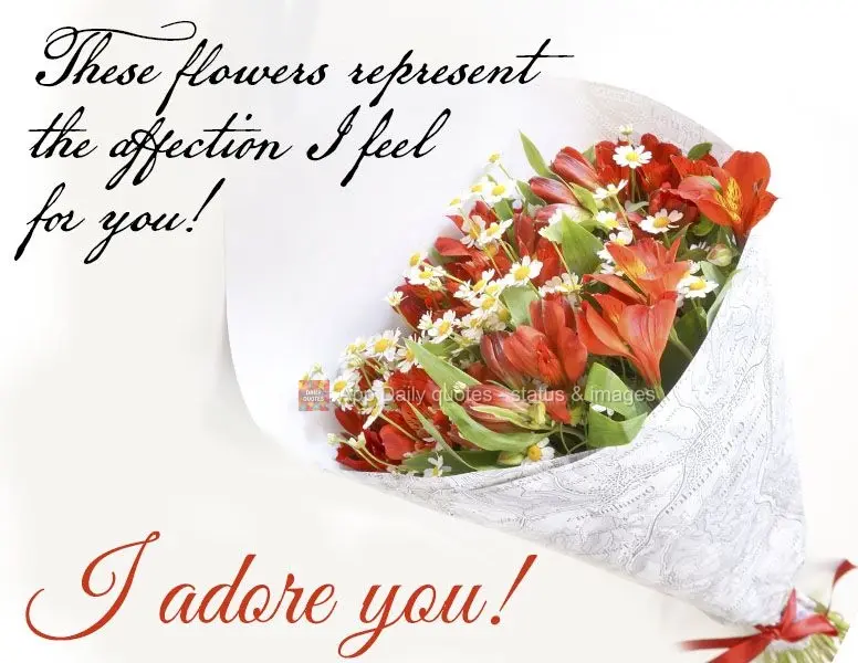 These flowers represent the affection I feel for you! I adore you!