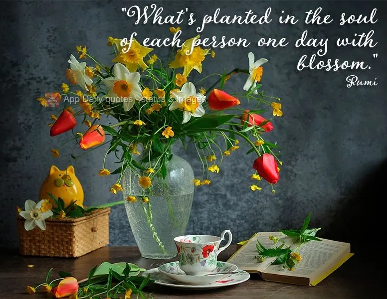 “O que é plantado na alma de cada pessoa um dia irá florescer.” Rumi